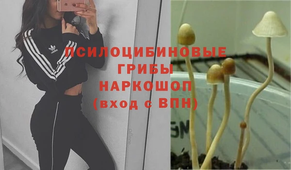 гашиш Арсеньев