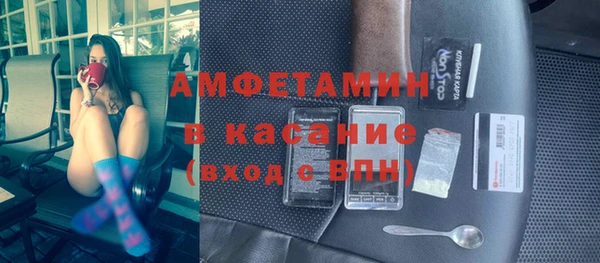 прущие грибы Нефтекумск