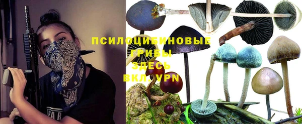 PSILOCYBIN Армянск