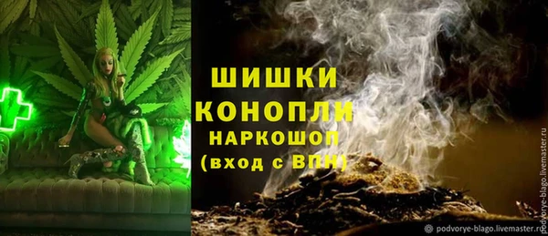 PSILOCYBIN Армянск