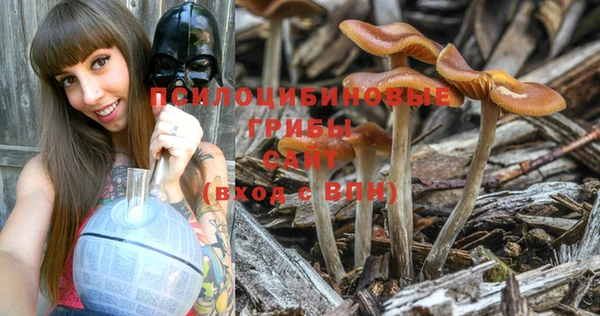 PSILOCYBIN Армянск