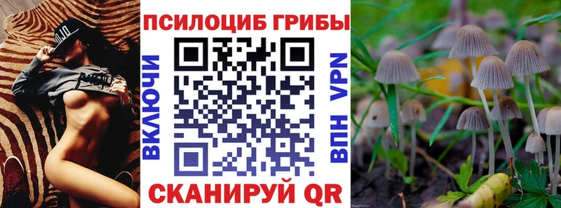 ссылка на мегу tor  Артёмовск  Галлюциногенные грибы Psilocybe  дарнет шоп 